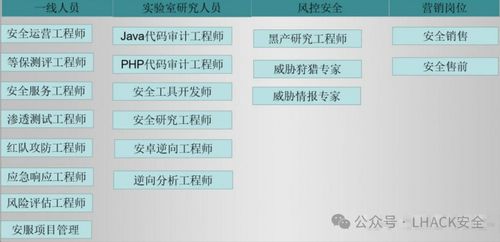網絡安全專家與信息安全畢業生就業分析 聚焦網絡與信息安全軟件開發